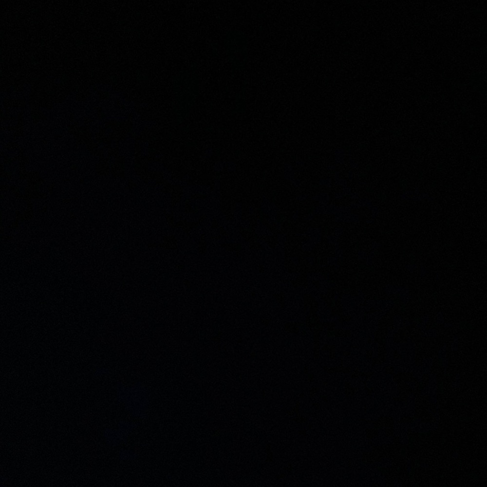 IGNORE